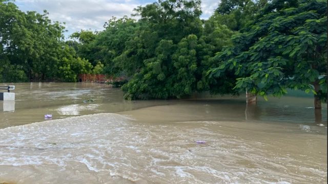 Sama da kashi 90 cikin ɗari na namun dajin da ke wannan gida sun fice sun shiga gari.