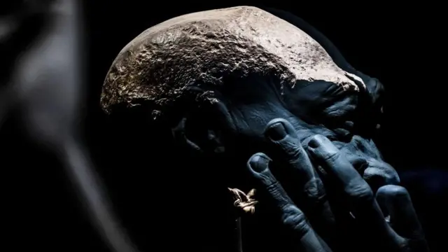 Tengkorak Manusia Jawa