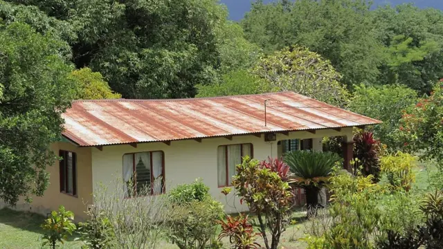 Casa na fazendacaça níquel frutasPachito