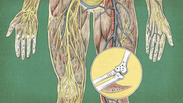 चीनमधील संशोधकांना हाडं आणि स्नायूंमध्ये मायक्रोप्लास्टिक सापडले आहेत.