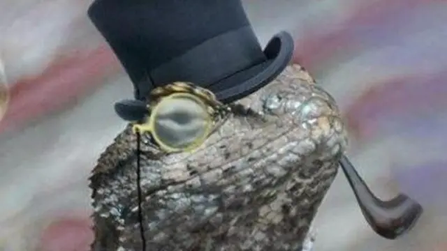 లిజార్డ్ స్క్వాడ్ ఫోటో 