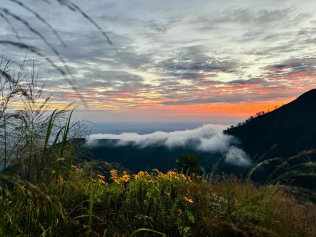 ပုပ္ပါးတောင်