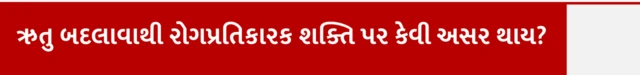 ઋતુ બદલવાની રોગપ્રતિકારક શક્તિ ઉપર કેવી અસર થાય, સિઝનલ બીમારી, શરદી ઉધરસ તાવ, હેલ્થ, સ્વાસ્થ્ય, બીમારી, ઋતુપલટો, સિઝન બદલાઈ ત્યારે બીમારી, બીબીસી ગુજરાતી, બીબીસી ન્યૂઝ ગુજરાતી 