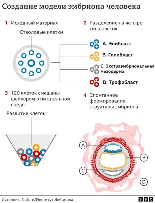 Әйелдердің оргазмы және порно Смотреть брюнетка порно Лиза Энн онлайн