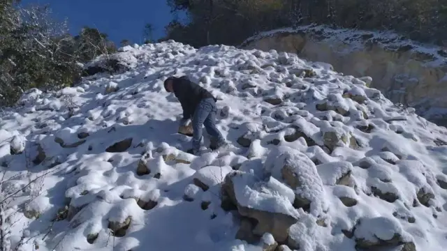 ပန်ဝါမြို့