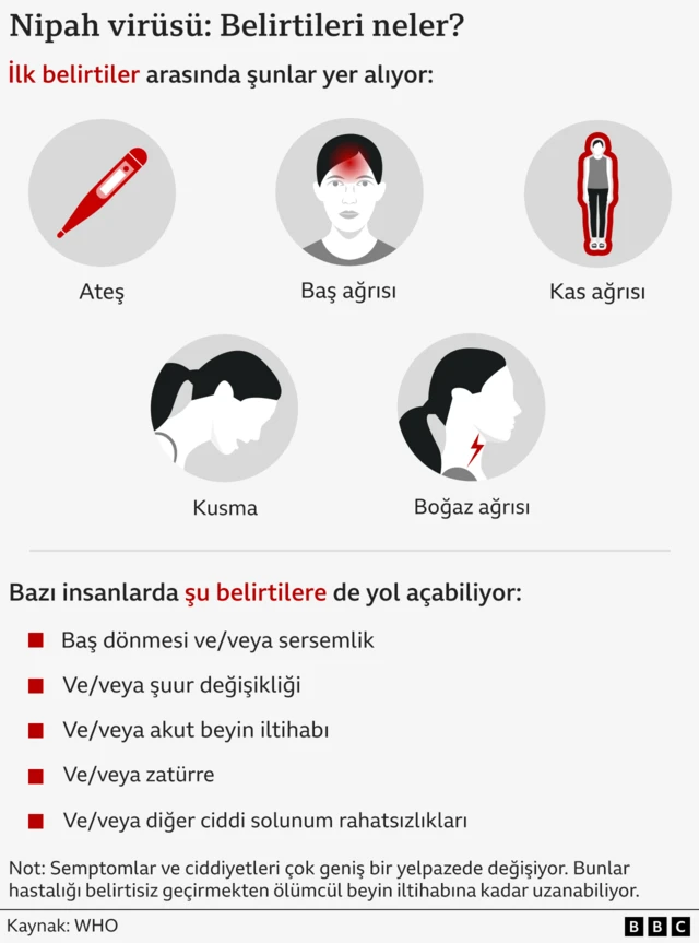 Nipah virüsünün belirtilerini gösteren bir grafik. Belirtiler arasında ateş, baş ağrısı, kas ağrısı, kusma, boğaz ağrısı, baş dönmesi, sersemlik, şuur değişikliği, akut beyin iltihabı, zatürre ve ciddi solunum rahatsızlıkları yer alıyor