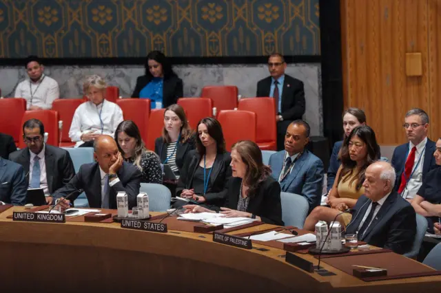 सुरक्षा परिषद्‌ बैठक