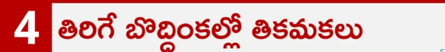 కీటకాలు 