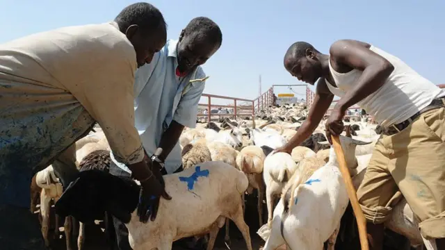 ኣባጊዕ ኣብ ዕዳጋ