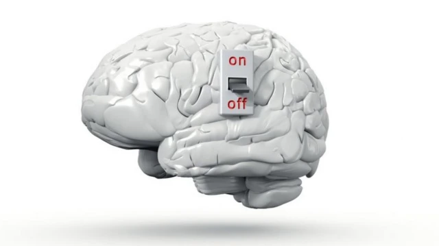 Un interrupteur est collé à un faux cerveau 