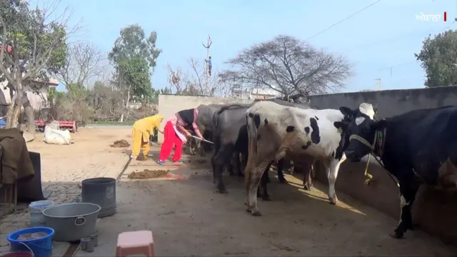 ਗੁਰਮੀਤ ਕੌਰ ਅਤੇ ਉਨ੍ਹਾਂ ਦੀ ਨੂੰਹ ਜਸਵਿੰਦਰ ਕੌਰ