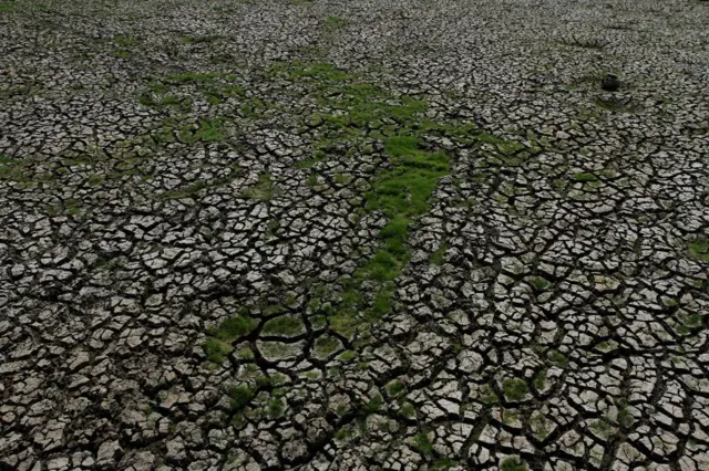 Tanah yang retak dapat dilihat di Waduk Gajah Mungkur yang mengering, Kecamatan Wuryantoro, Wonogiri, Jawa Tengah, Indonesia pada 6 Oktober 2023