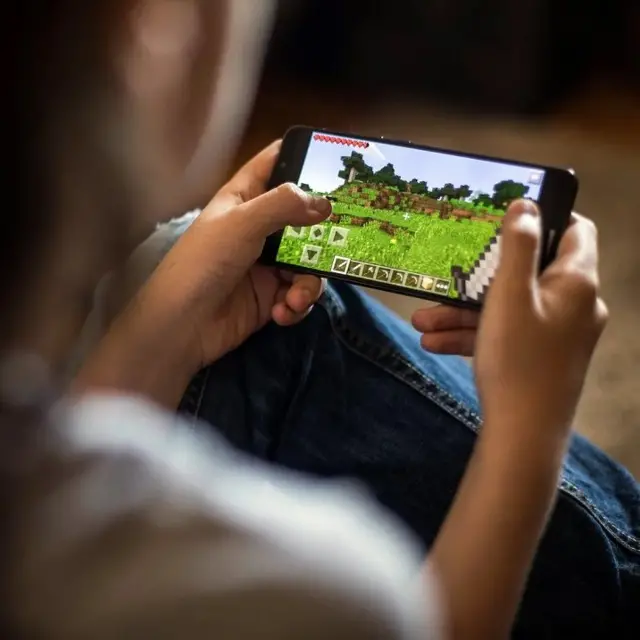 minecraft, gim, online