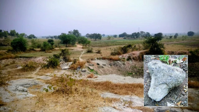 पिजदुरा या गावी सुमारे साडे 6 कोटी वर्षापूर्वीच्या महाकाय डायनासोरचे जीवाश्म शास्त्रज्ञांना आढळून आले आहेत. 