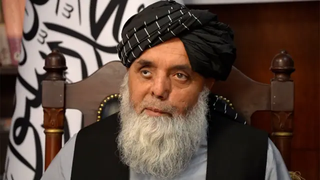 Şeberghan Valisi Abdullah Sarhadi'nin ofisinde çekilmiş portresi. Uzun gri sakalı var, siyah Afgan başlığı takıyor ve kameranın soluna doğru bakıyor.