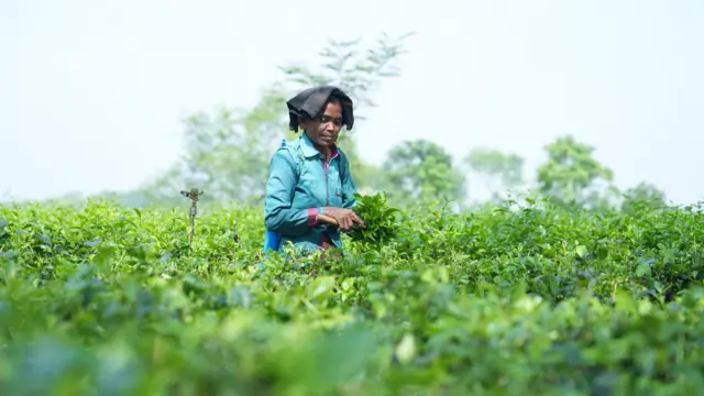 किशनगंज