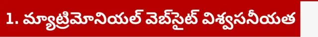 మ్యాట్రిమోనియల్ వెబ్సైట్, ఆన్లైన్, డేటింగ్, చీటింగ్