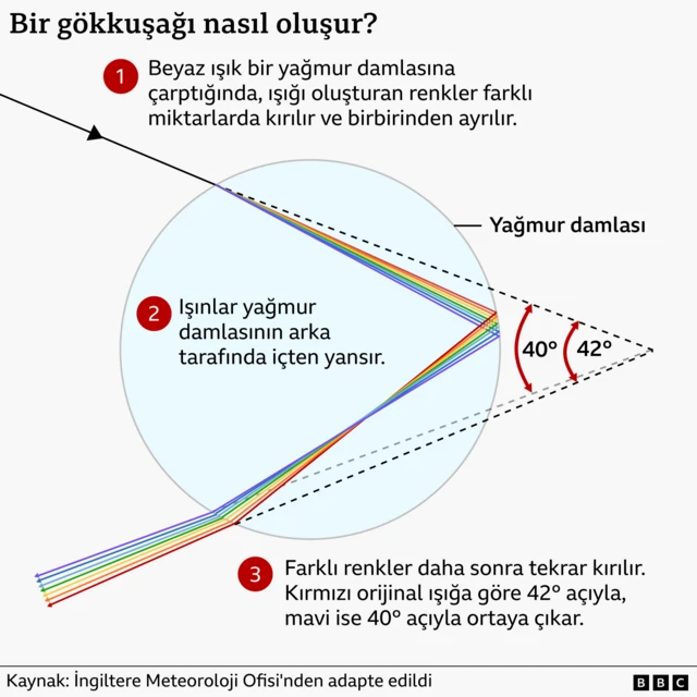 Gökkuşağının üç aşamada nasıl oluştuğunu gösteren bir grafik: 1. Beyaz ışık bir yağmur damlasına çarptığında farklı renklere ayrılır. 2. Renkler yağmur damlasının arka tarafında içten yansır. 3. yağmur damlasının ön kenarından tekrar dışarıya doğru kırılırlar.
