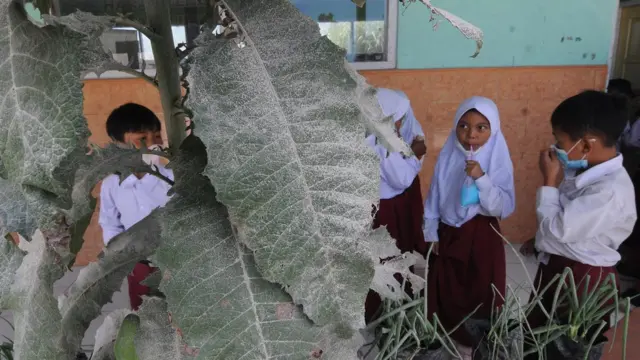 Mendikbudristek melarang sekolah dasar mensyaratkan tes calistung untuk penerimaan peserta didik baru pada tahun ajaran baru 2023. 