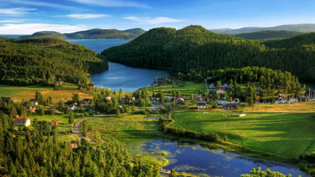 Área verde na Suécia