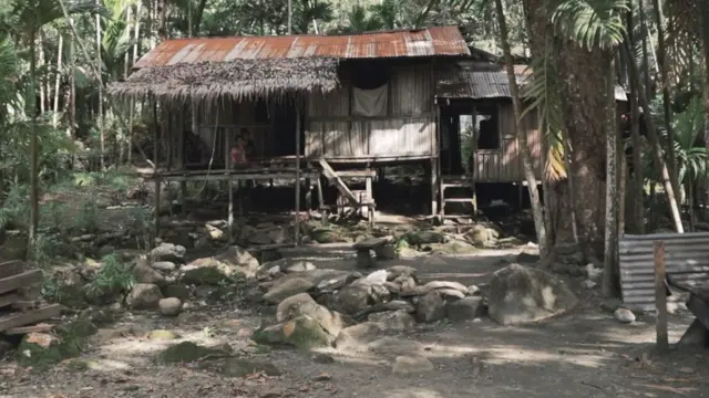 Papua, suku, alam, hutan, keragaman, tradisi, budaya, Cycloop