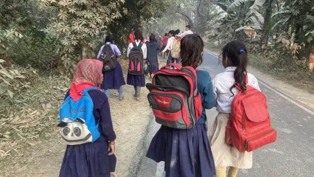 కుక్కల దాడి