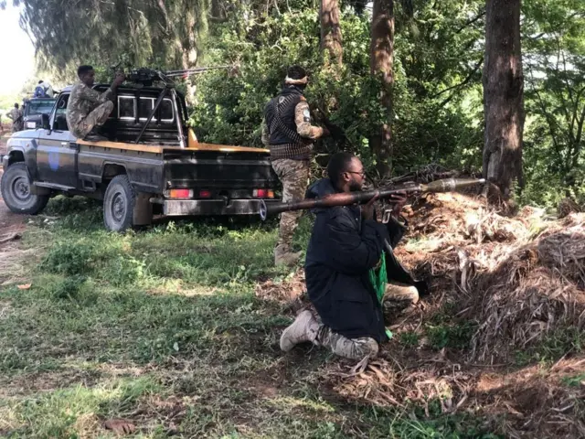 Ciidanka Dowladda Federaalka ah ee Soomaaliya