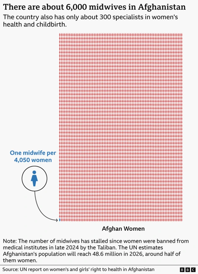 A graphic showing the proportion of Afghan midwives compared the number of women in the country. There is one midwife per 4,050 women