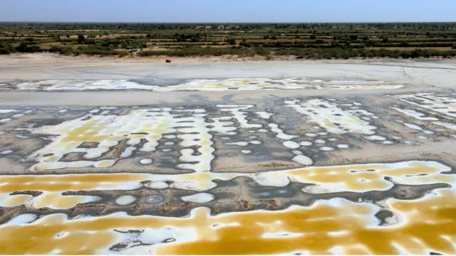 ચોથરનેસડા ગામનાં ખેતરોને અડીને આવેલું રણ