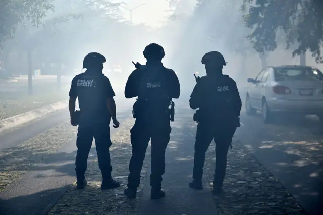 Fuerzas policiales desplegadas en México. 