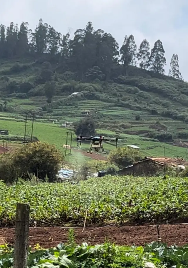 டிரோன் மூலம் பூச்சிக்கொல்லி தெளிப்பு