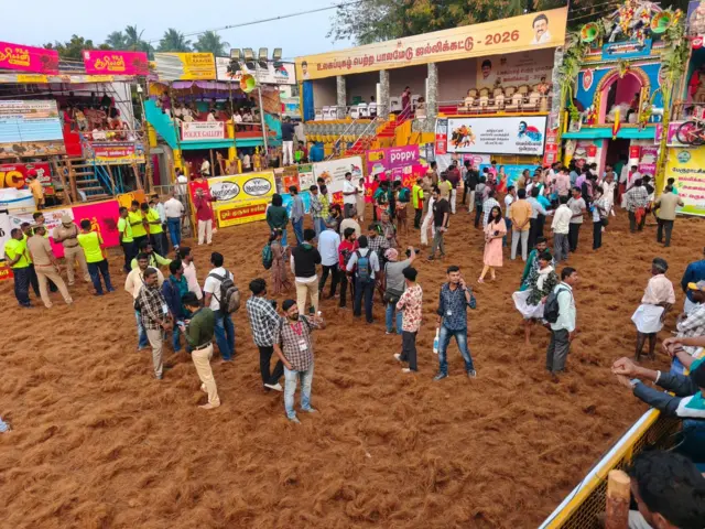 பாலமேடு ஜல்லிக்கட்டு