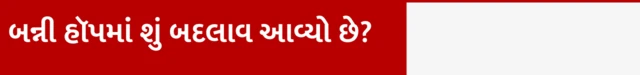 બન્ની હૉપમાં શું બદલાવ આવ્યો છે?