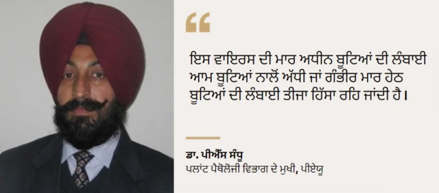 ਡਾ. ਪੀਐੱਸ ਸੰਧੂ