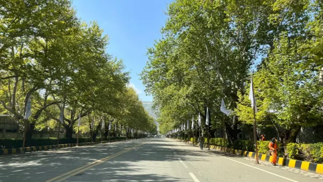 ارگ