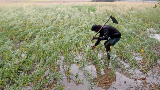 પ્રતીકાત્મક તસવીર
