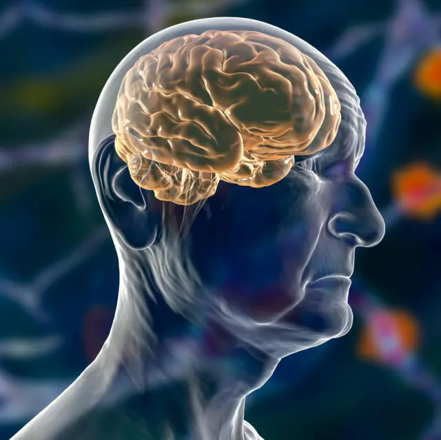 प्रतीकात्मक तस्वीर