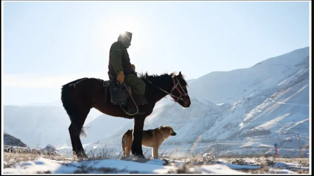 Buurlaeyda Kyrgyzstan