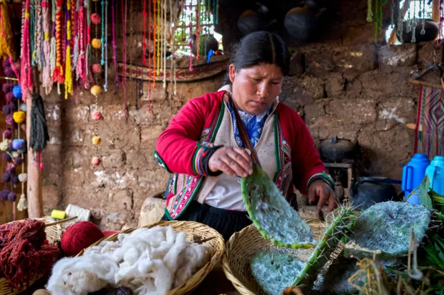 Mujer indígena tejedora de la localidad peruana de Chinchero trabaja con plantas y verduras para crear colores para textiles hechos con lana de alpaca 