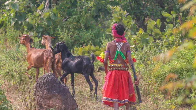 అడవిలో ఆదివాసీ గుస్సాడీ