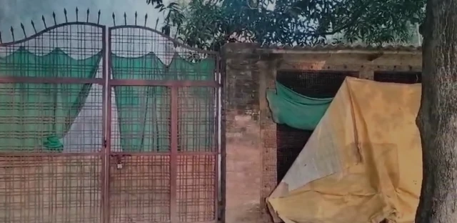 लारेब हाशमी के पिता का मुर्गी फार्म