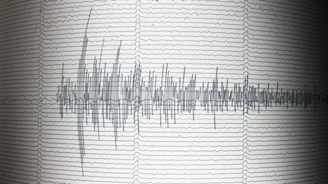 Sismik dalgalar bir kağıt üzerinde aynı çizgide devam eden dikey uzunlu kısalı çizgiler olarak gösteriliyor. 