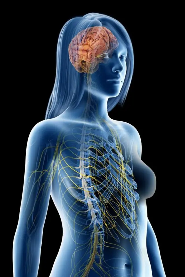 Matatizo mbalimbali ya neva na akili huathiri wanaume na wanawake kwa viwango tofauti na kwa uwiano tofauti.