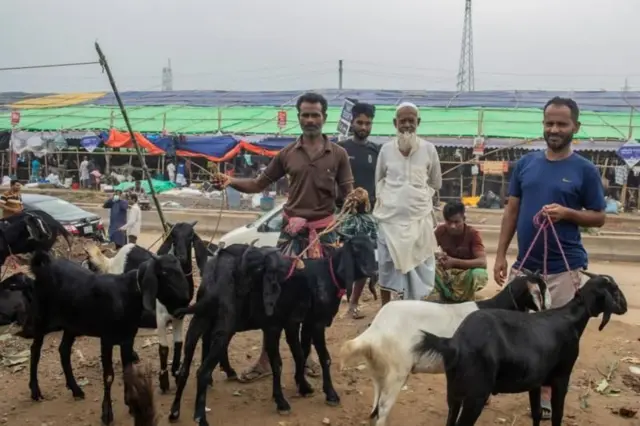 বাংলাদেশে কোরবানির সময় ছাগলেরও চাহিদা থাকে অনেক