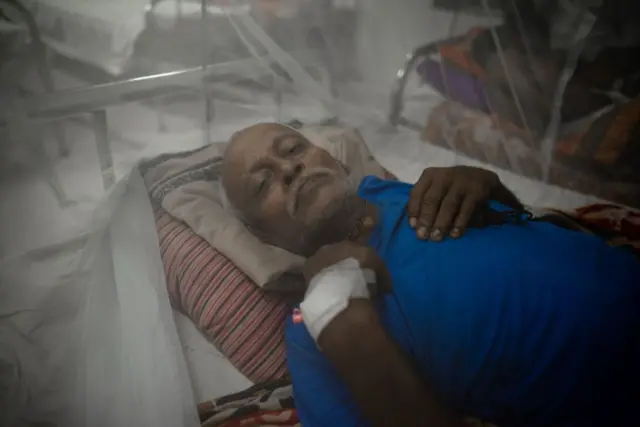 ડેન્ગ્યુ 