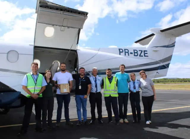 A equipe que fez o transporte dos filhotes — que estão na caixaaposte e ganhe onlinemadeira nas mãos do terceiro homem da esquerda para a direita — até Foz do Iguaçu