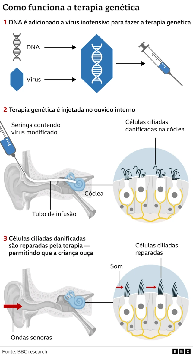 Infográfico mostra como funciona a terapia genética