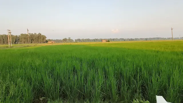 ਹਰਿਆਣਾ