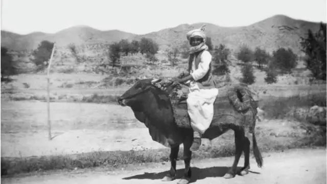 બીબીસી ગુજરાતી, ગુજરાત, બીબીસી, અમદાવાદ, પાકિસ્તાન, ભારત, ઇતિહાસ, ભારત-પાકિસ્તાન ભાગલા