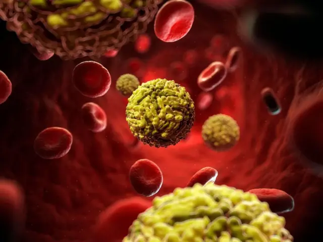 डेंग्यूचा विषाणू